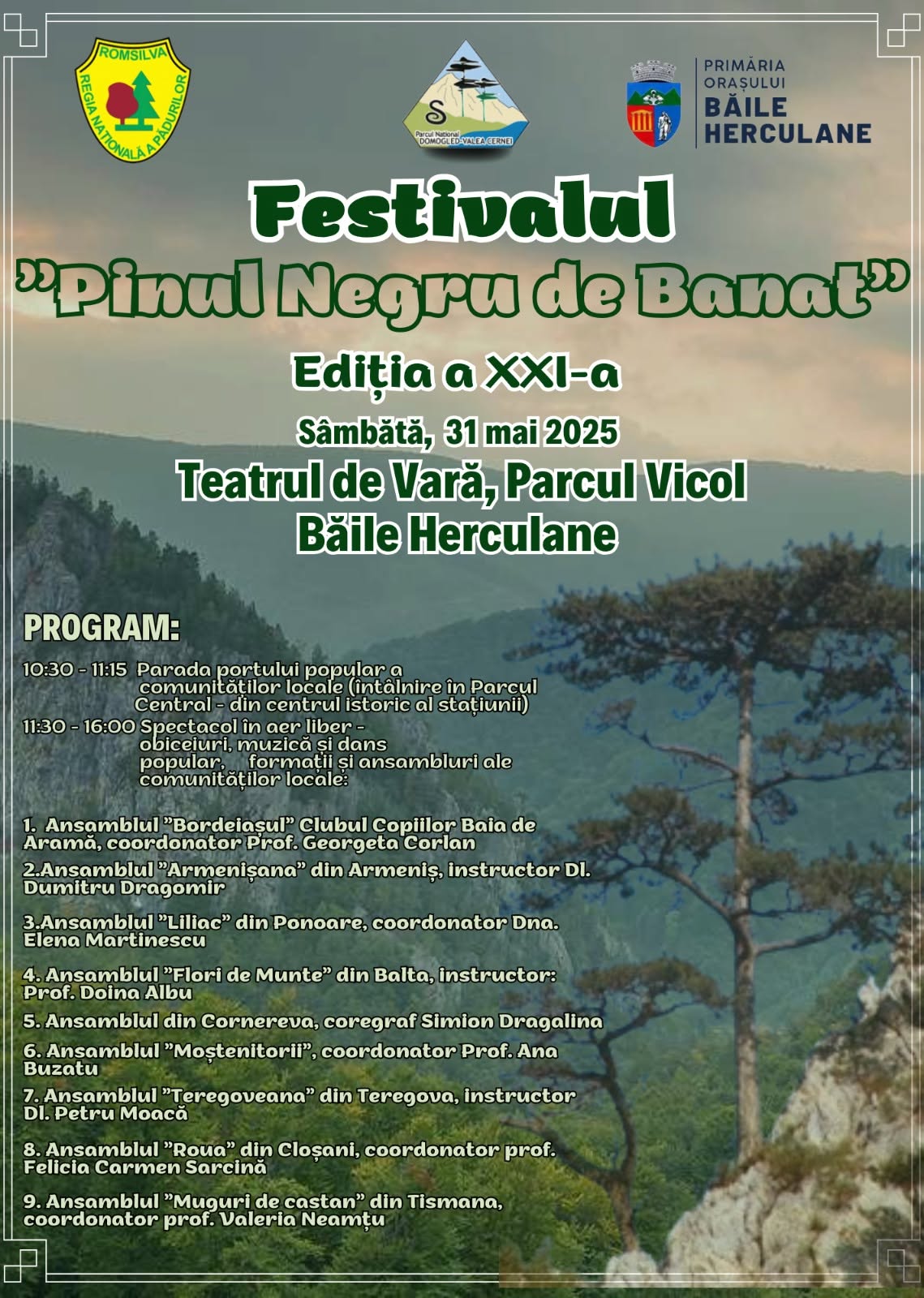 Afiș Festivalul Pinului Negru — ediție anterioară